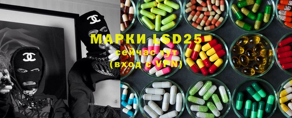 ГАЛЛЮЦИНОГЕННЫЕ ГРИБЫ Абаза