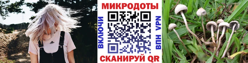 Псилоцибиновые грибы Cubensis  как найти закладки  Электросталь 